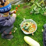 Fiber Rich Meals for Kids: Simple, Tasty & Gut-Healthy Solutions